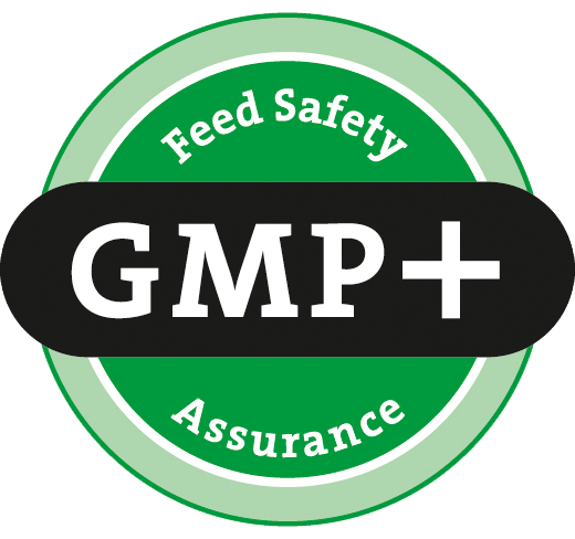 logo gmp